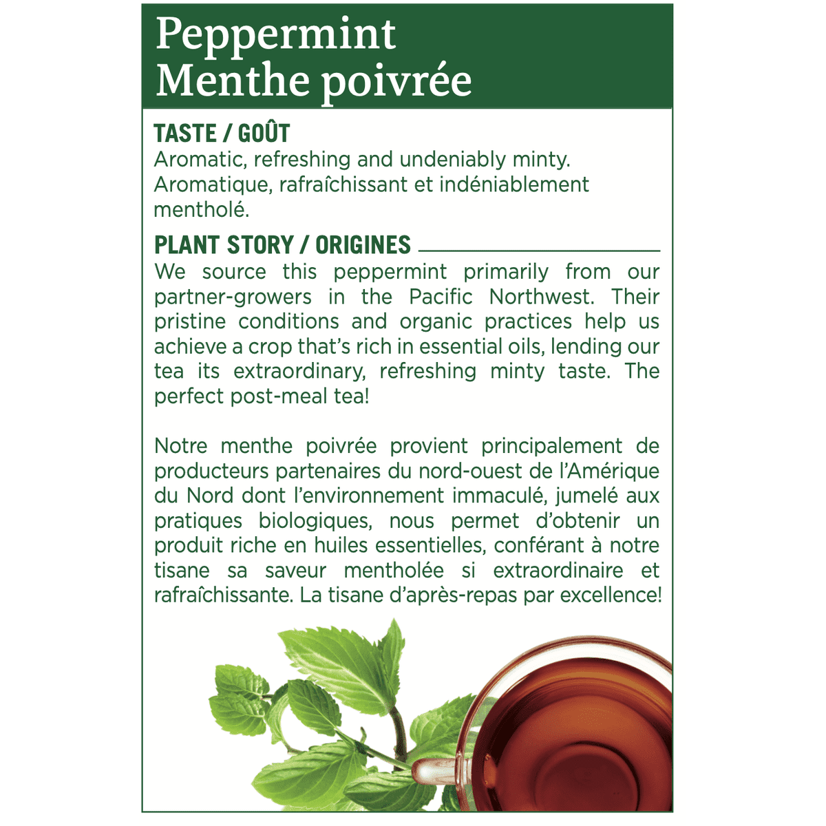 Organic Peppermint Tea  Traditional Medicinals
