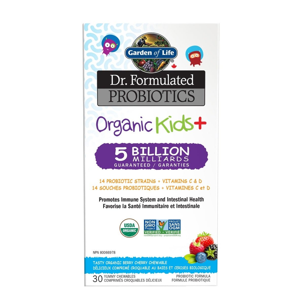 Organic Kid Chew Probiotic  Garden of Life