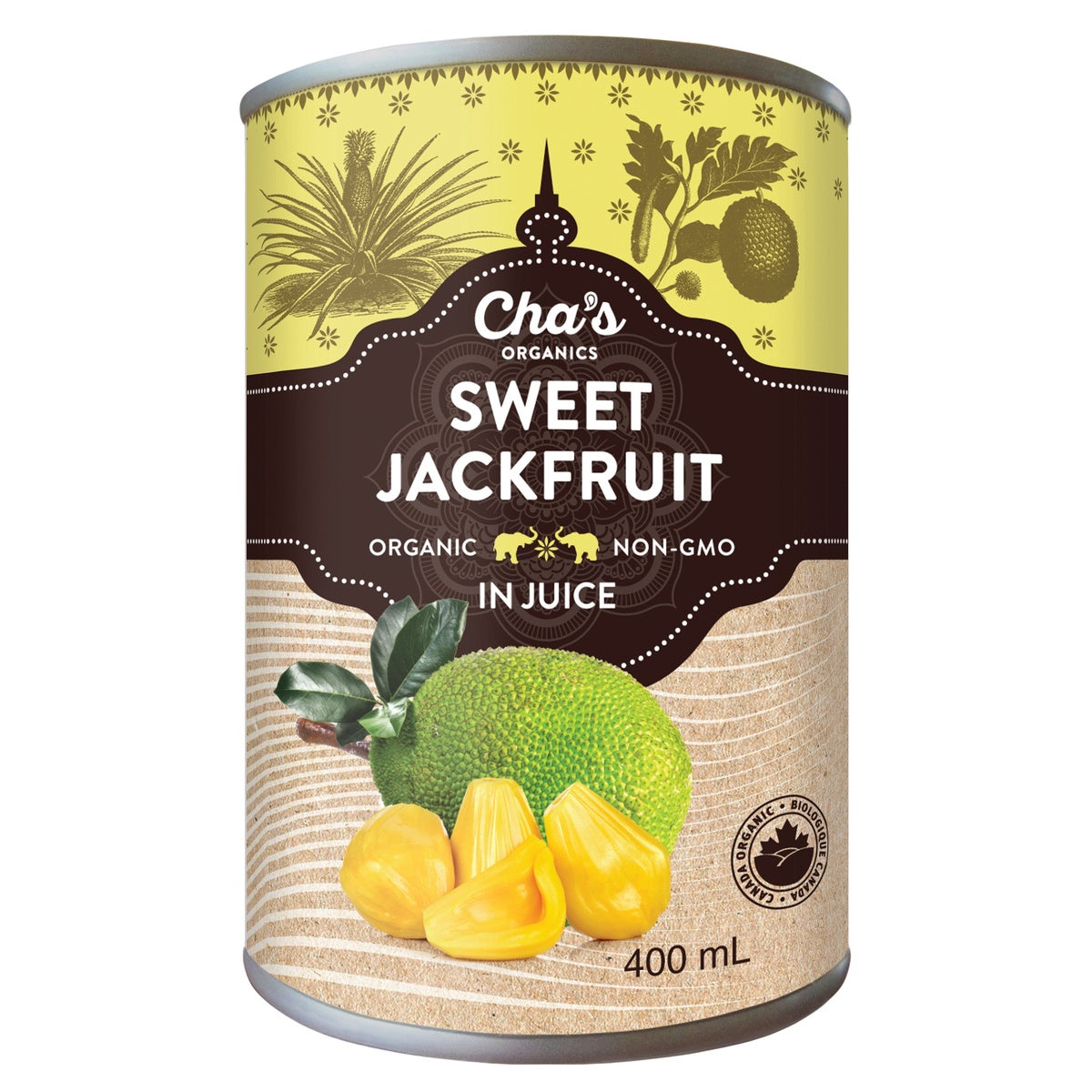 Sweet Jackfruit In Juice  Cha's Organics